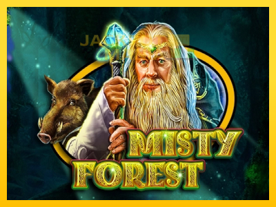 Masina de jocuri Misty Forest cu șansa de a câștiga