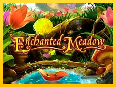 Masina de jocuri Enchanted Meadow cu șansa de a câștiga