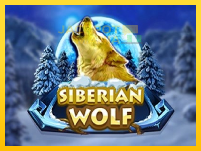 Masina de jocuri Siberian Wolf cu șansa de a câștiga