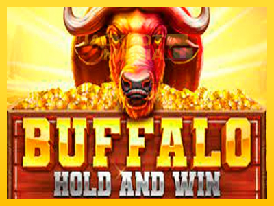 Masina de jocuri Buffalo Hold and Win Extreme cu șansa de a câștiga