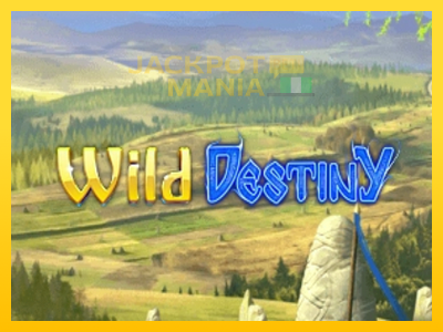 Masina de jocuri Wild Destiny cu șansa de a câștiga