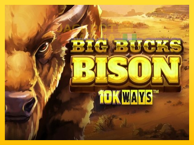 Masina de jocuri Big Bucks Bison 10K Ways cu șansa de a câștiga