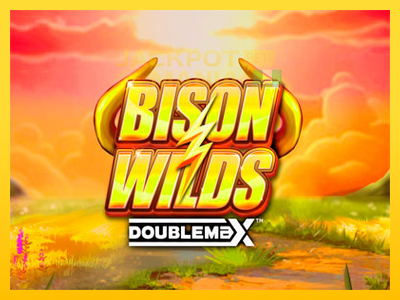 Masina de jocuri Bison Wilds DoubleMax cu șansa de a câștiga