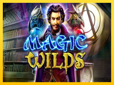 Masina de jocuri Magic Wilds cu șansa de a câștiga